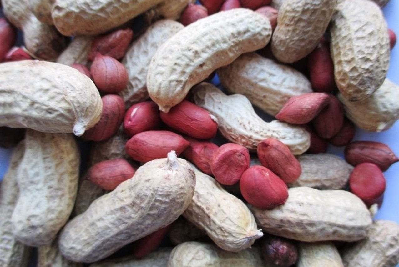 Valencia Peanuts: Health Benefits and everything that you need to know  about - AumsWow Wellness